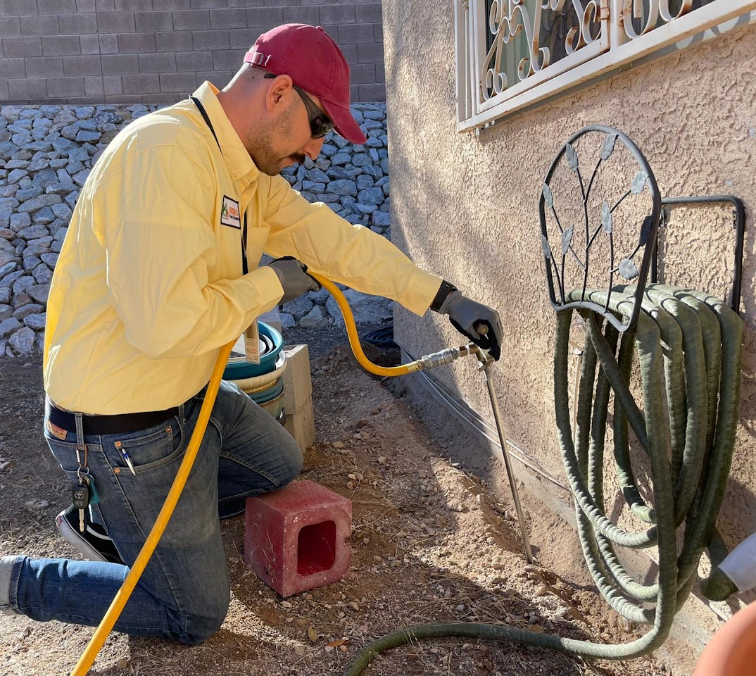 Results Pest & Termite, Bed Bug Control, & Bee Exterminator project